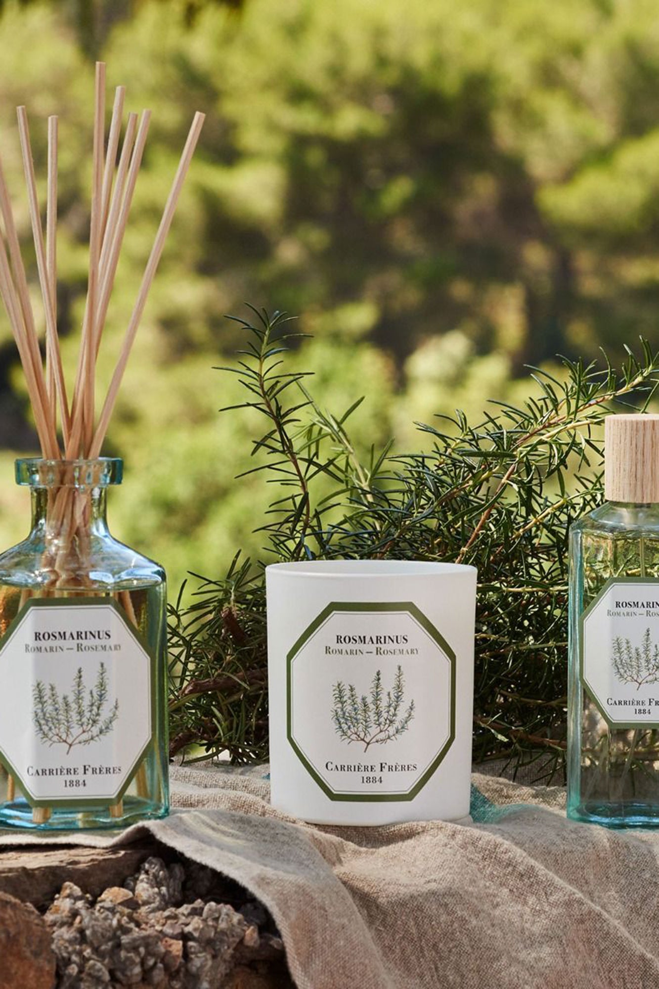 CF Candle ROSEMARY