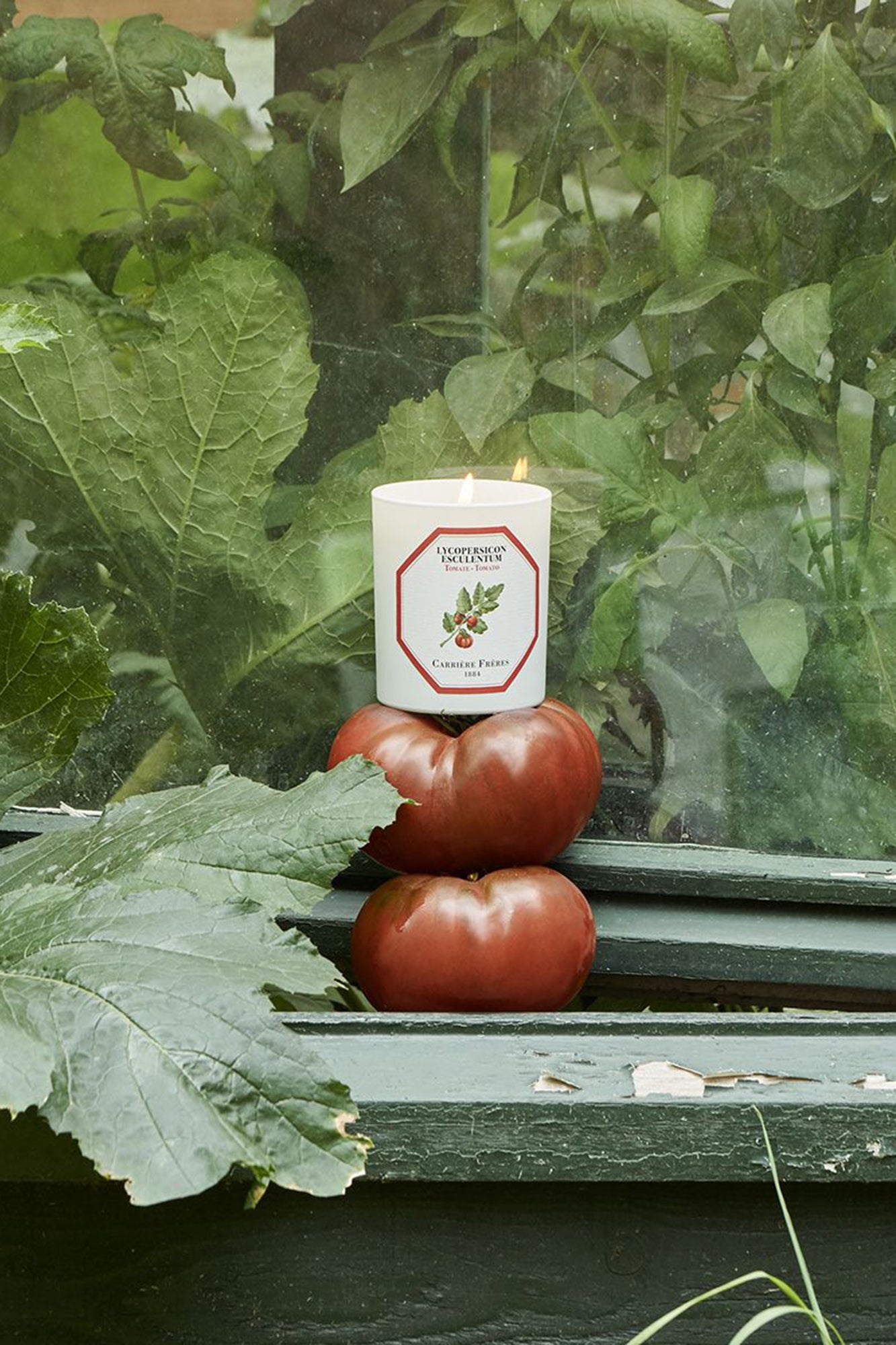 CF Candle TOMATO