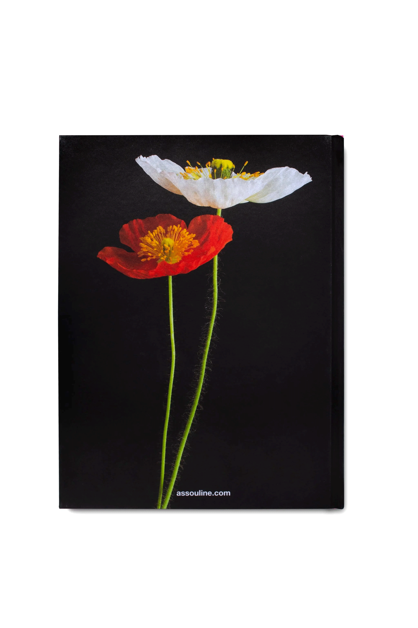 Flowers: Art & Bouquets