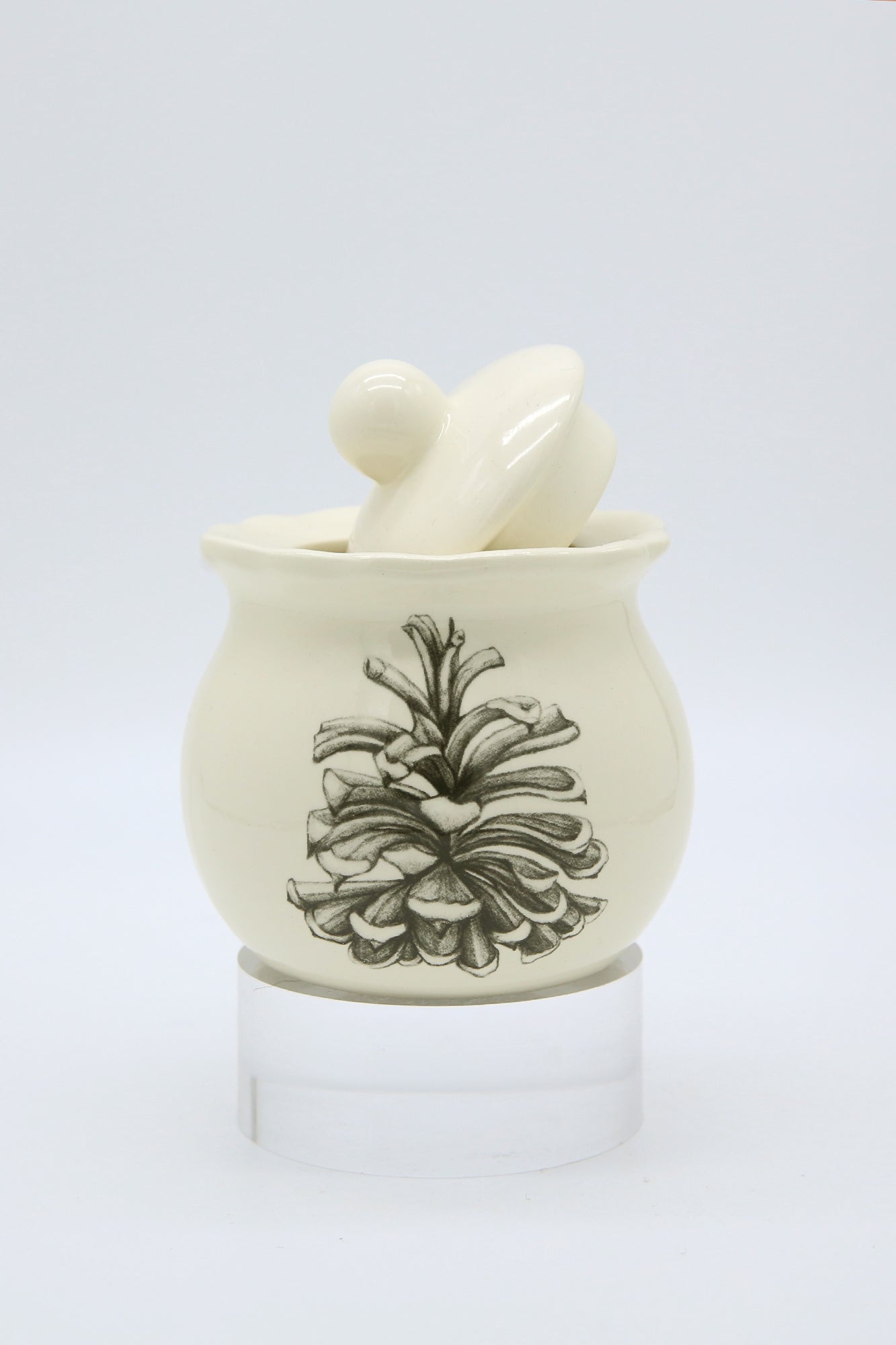 ZINDEL Sugar Bowl Pinyon Pine Cone - White