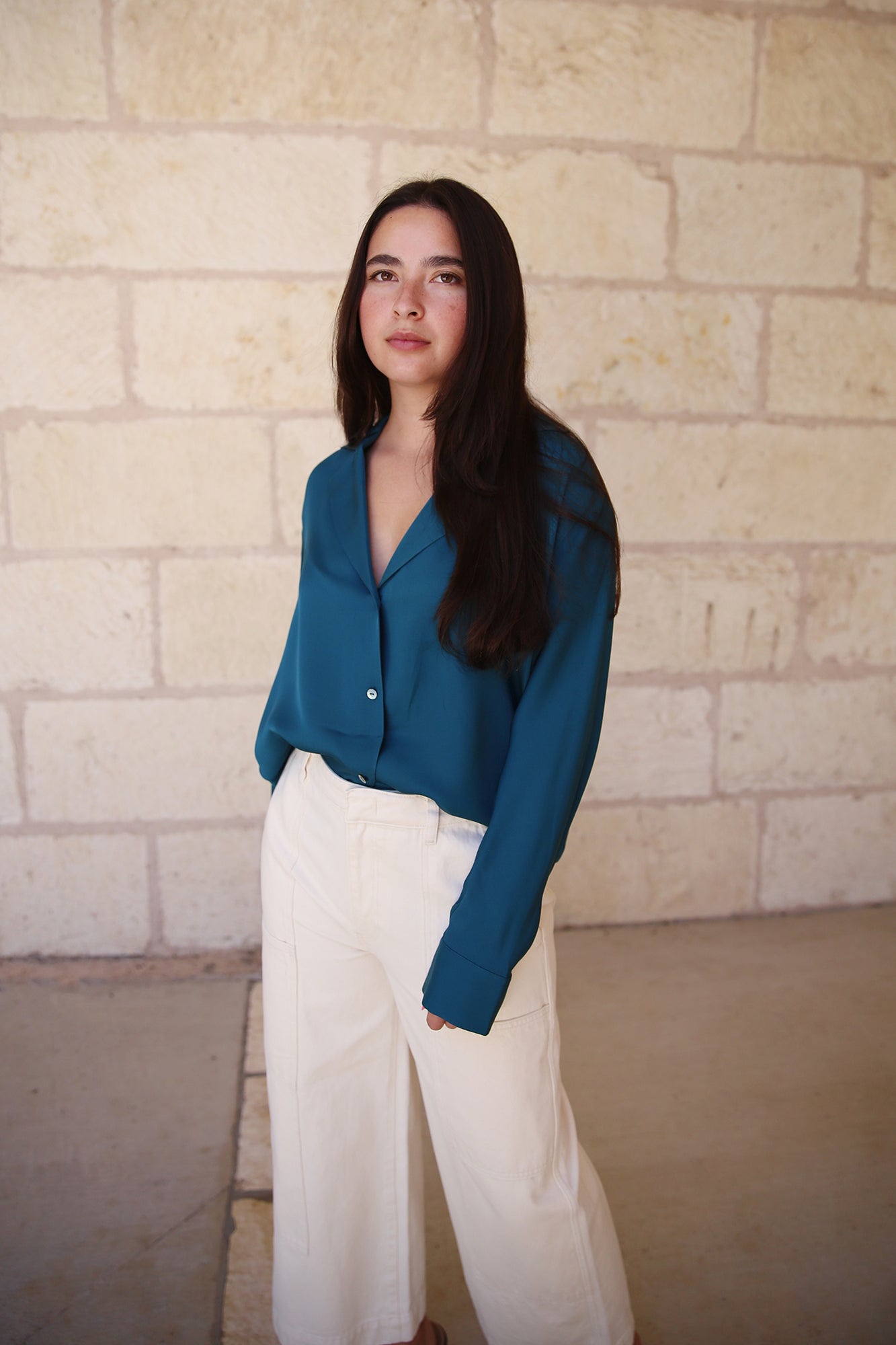 Silk Lapel Collar dolman Sleeve Blouse Blue Waltz