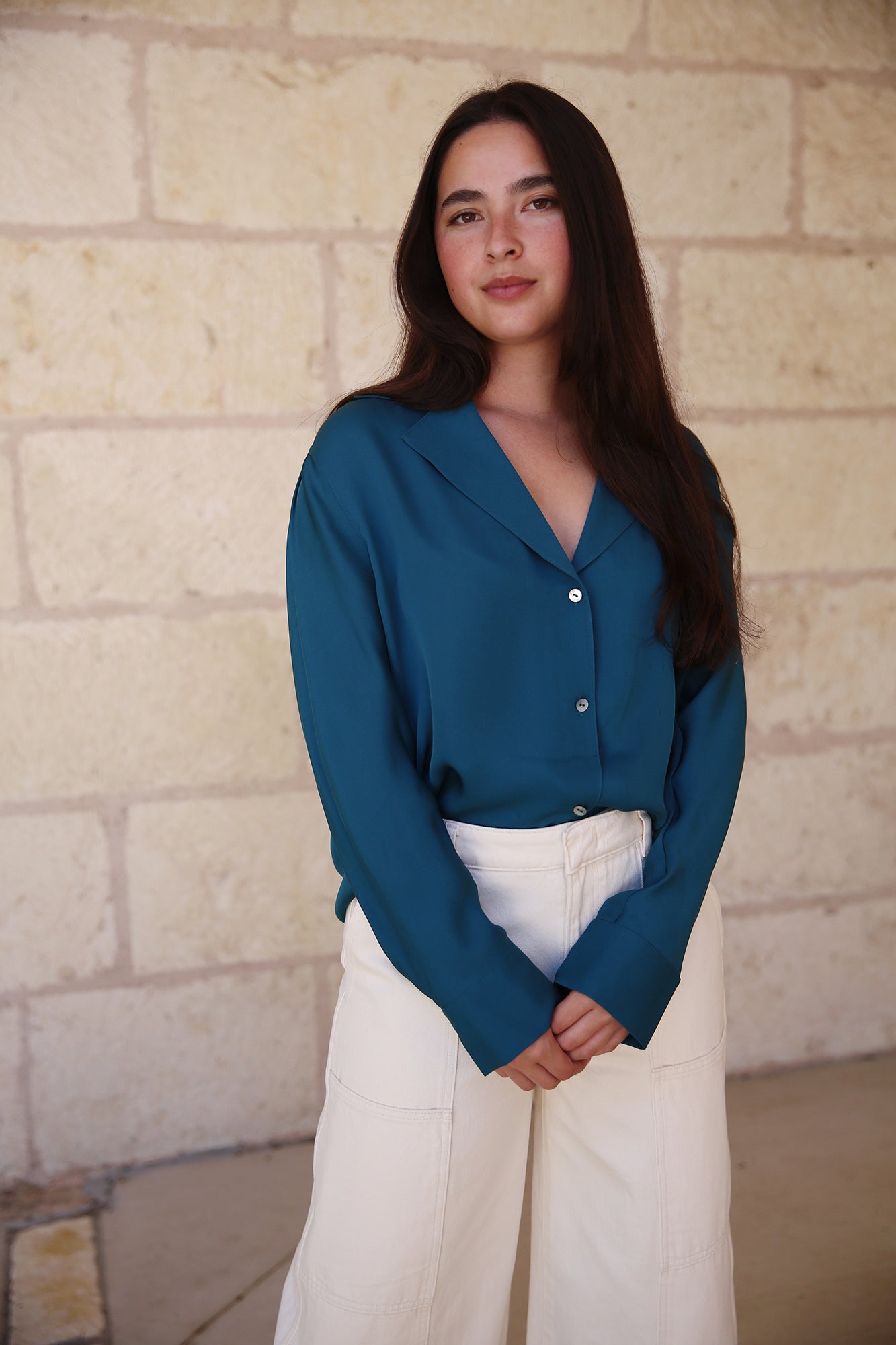 Silk Lapel Collar dolman Sleeve Blouse Blue Waltz