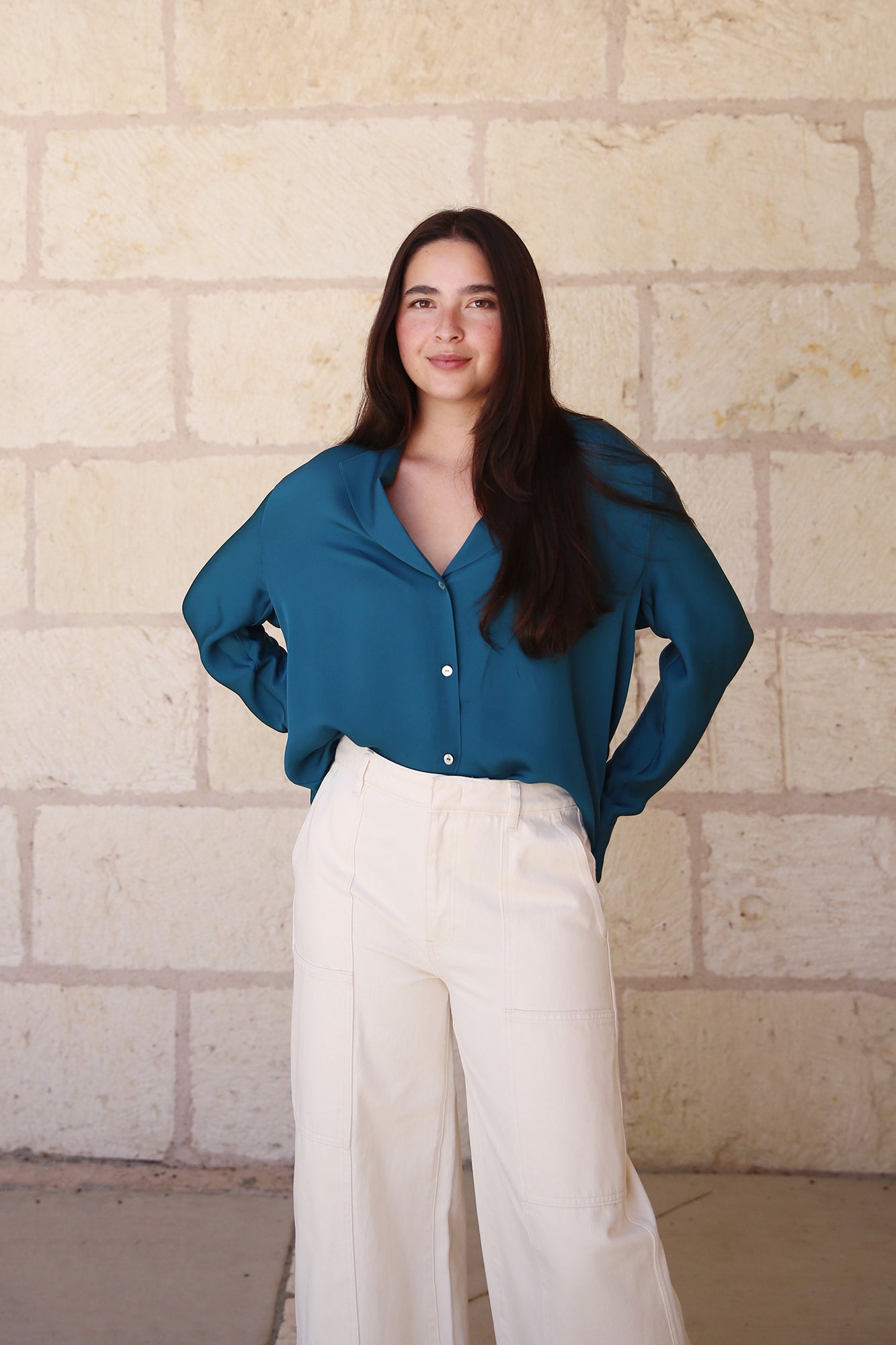 Silk Lapel Collar dolman Sleeve Blouse Blue Waltz