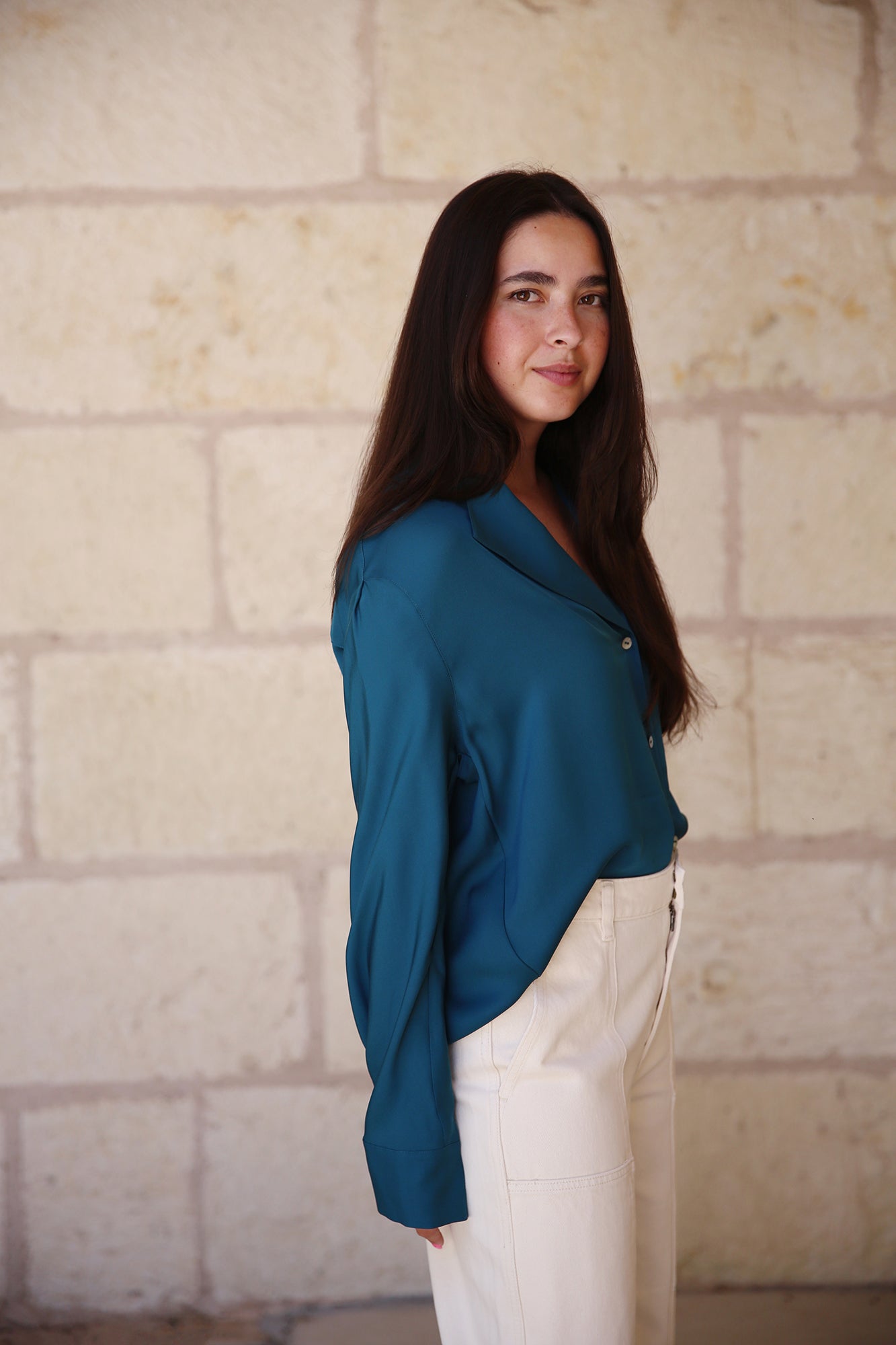 Silk Lapel Collar dolman Sleeve Blouse Blue Waltz