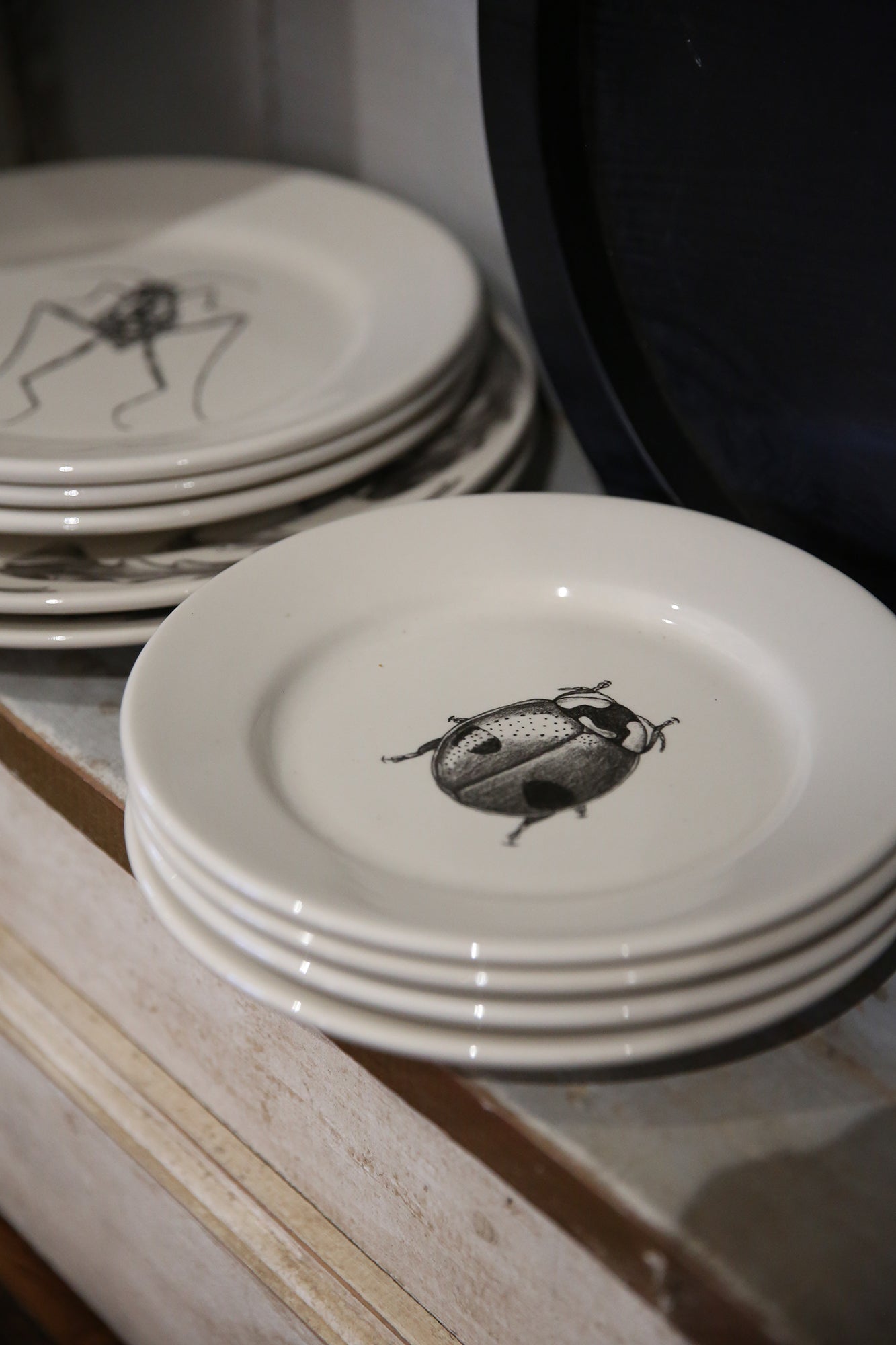 ZINDEL Salad Plate Lady Beetle