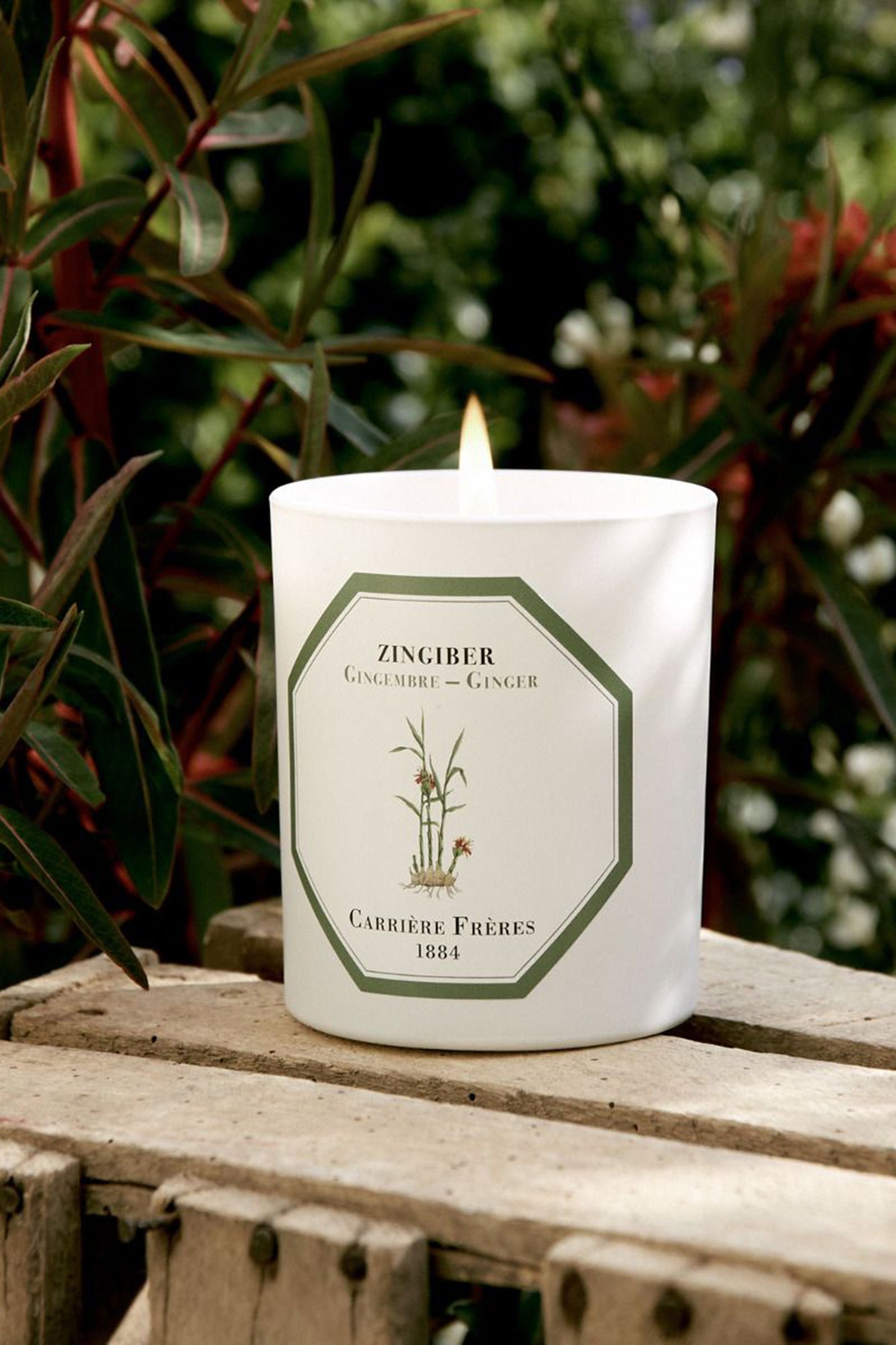 CF Candle GINGER