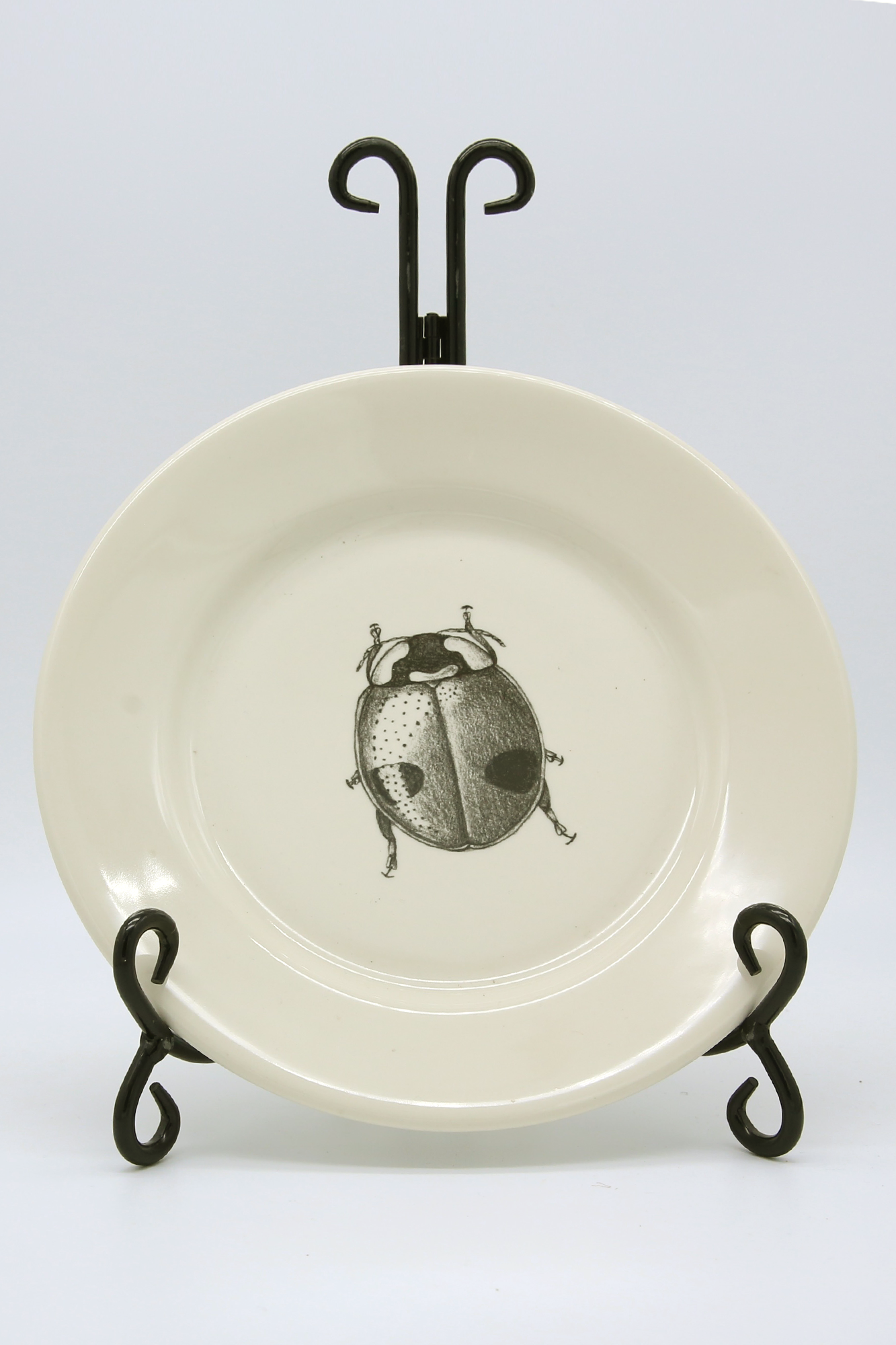 ZINDEL Salad Plate Lady Beetle