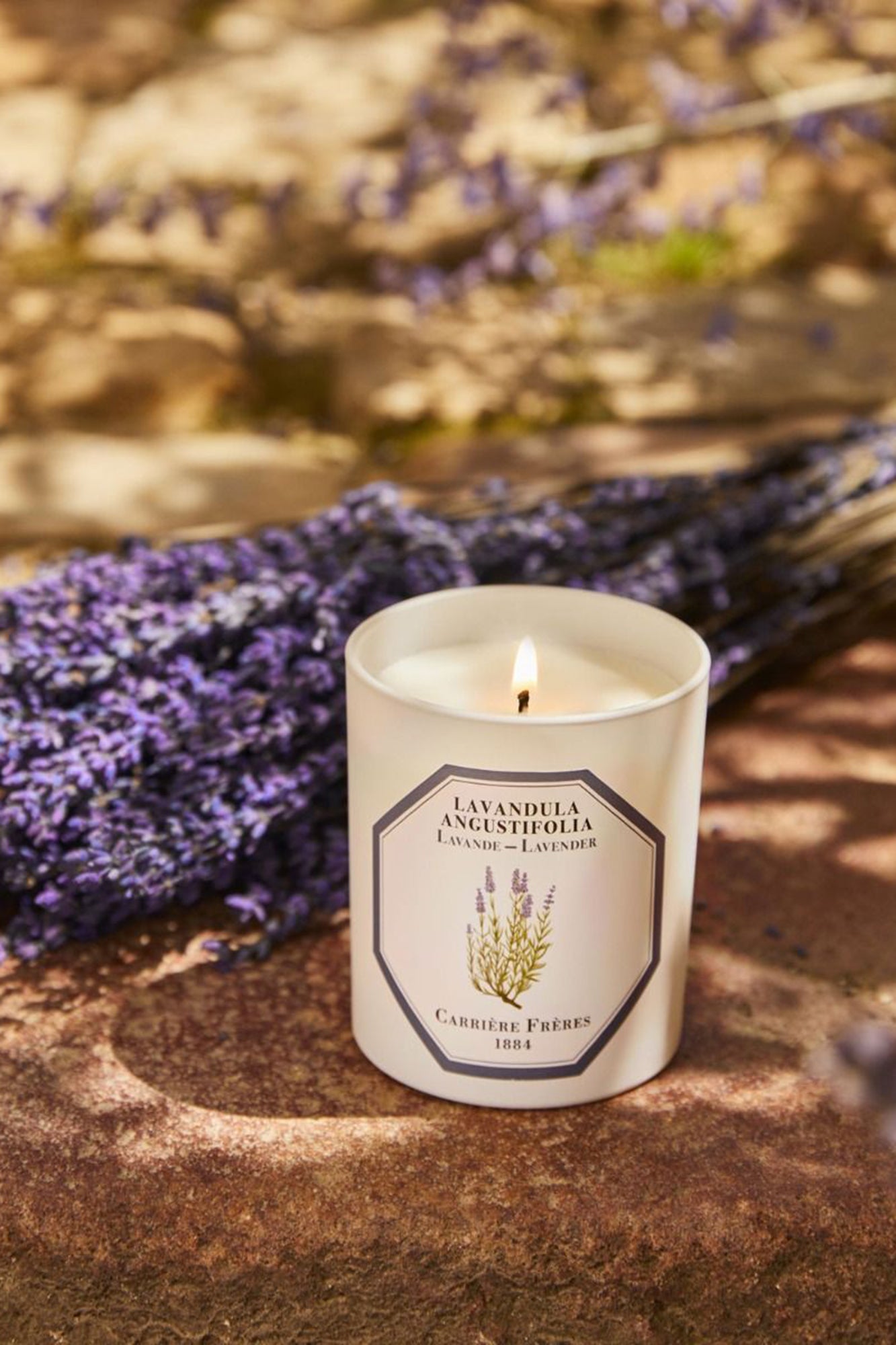 CF Candle LAVENDER