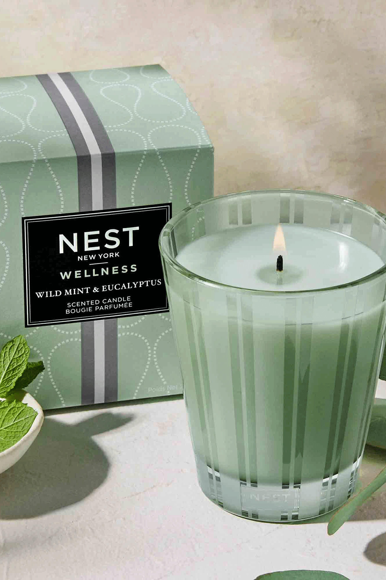 Wild Mint & Eucalyptus Classic Candle